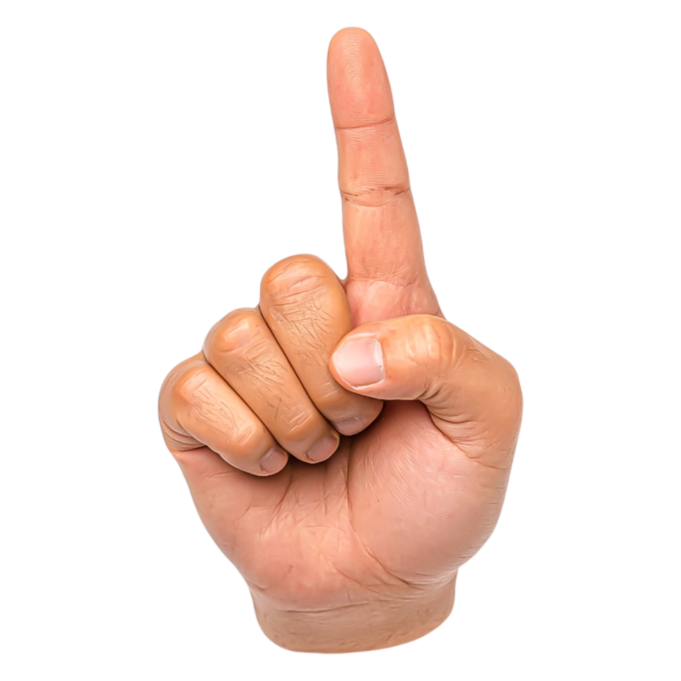 Hand raising index finger demonstrating signal for attention or agreement png