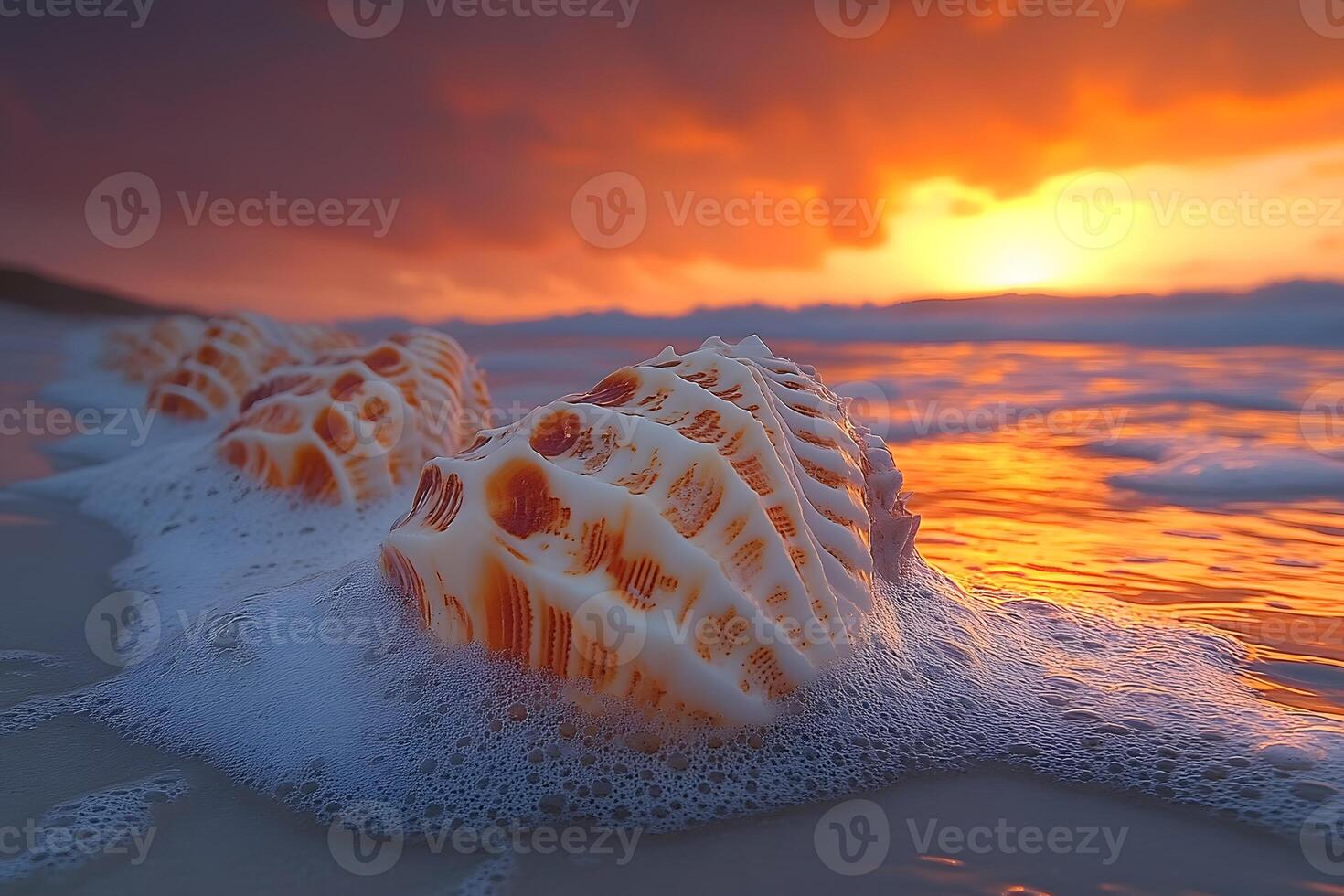 Sunset Beach Scene with Sea Shells and Ocean Waves for Tropical Vacation Design photo