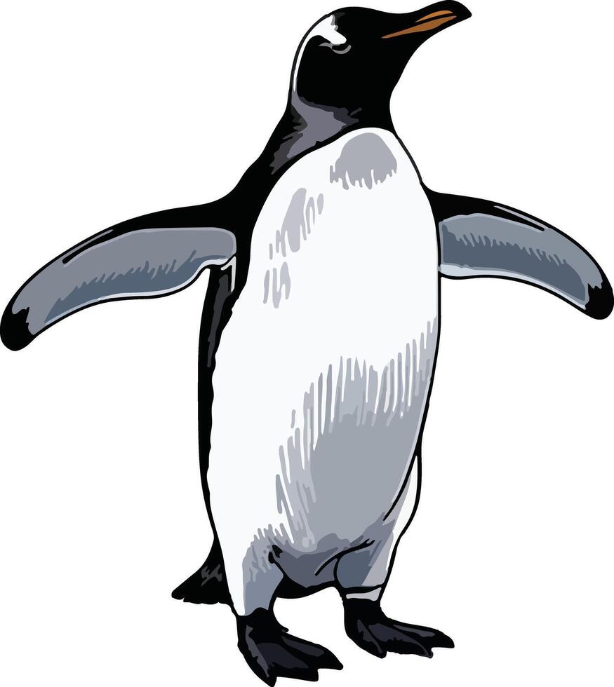 Elegant Penguin Illustration vector