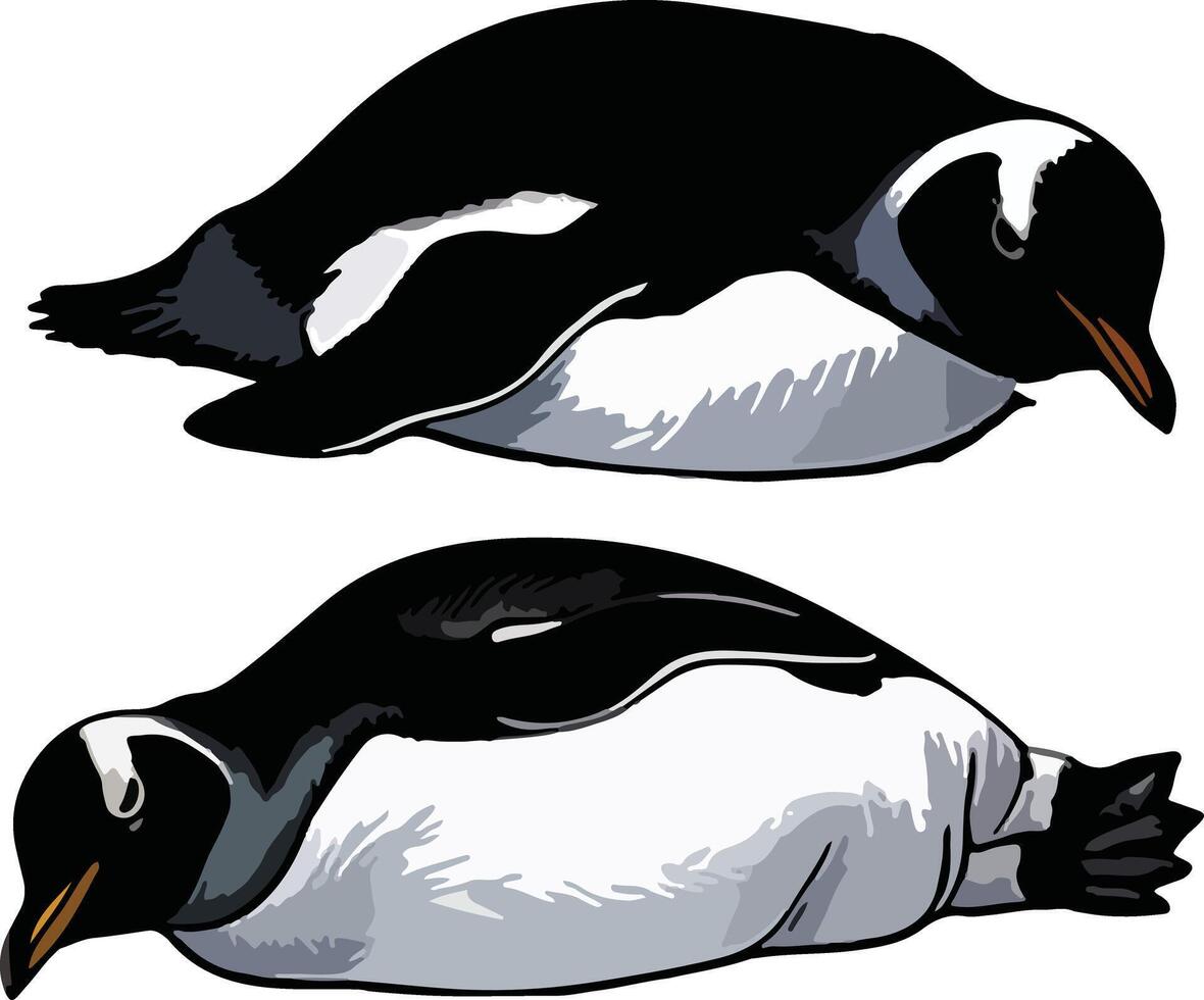 Sleeping Penguins Clipart vector