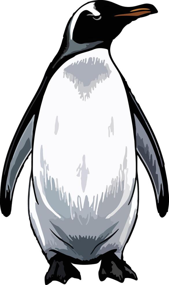 Majestic Penguin Illustration vector
