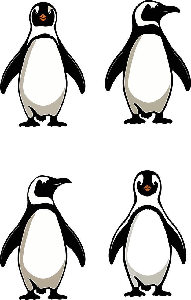 Cute Penguins Illustration vector