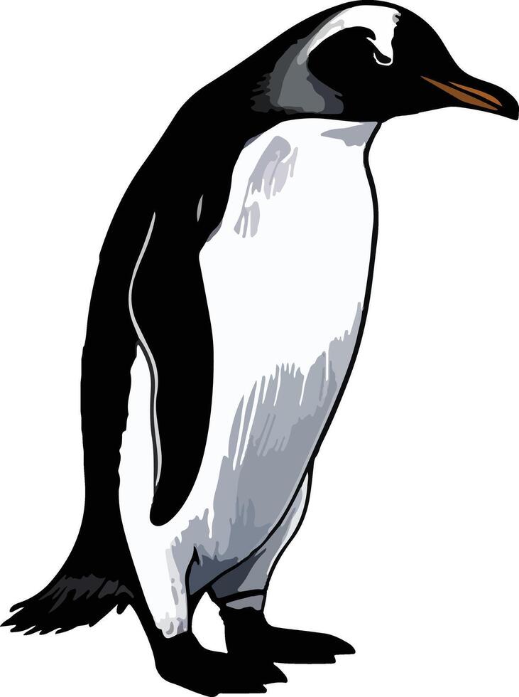 Elegant Penguin Illustration Clipart vector