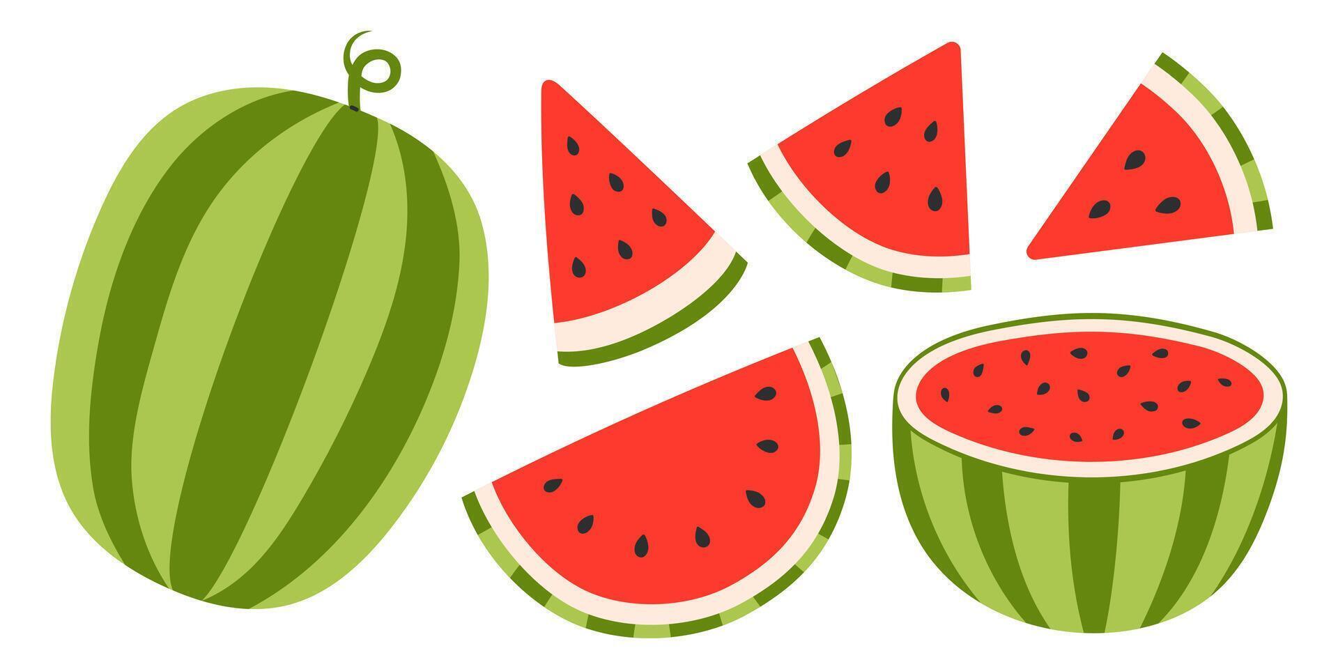 Watermelon set. Ripe fruit pieces, halved and triangular slices, whole watermelon, seed. Collection of organic vitamins and healthy nutrition. Flat illustration isolated on white background vector