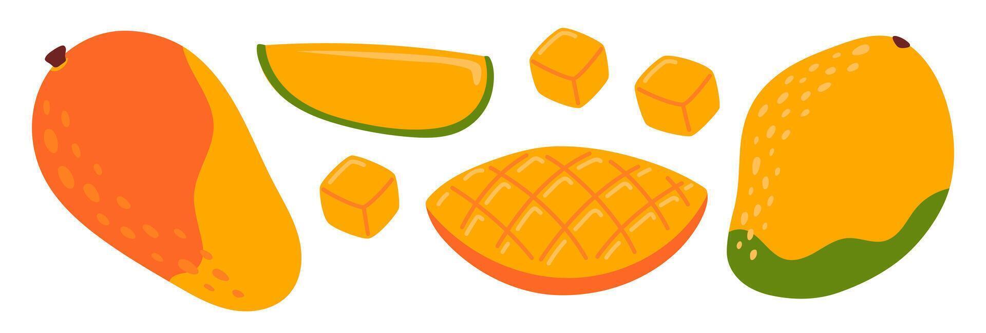 Mango set. Tropical fruits. Whole and half, slice and diced fresh mango. Collection of organic vitamins and healthy nutrition. Flat illustration isolated on white background vector