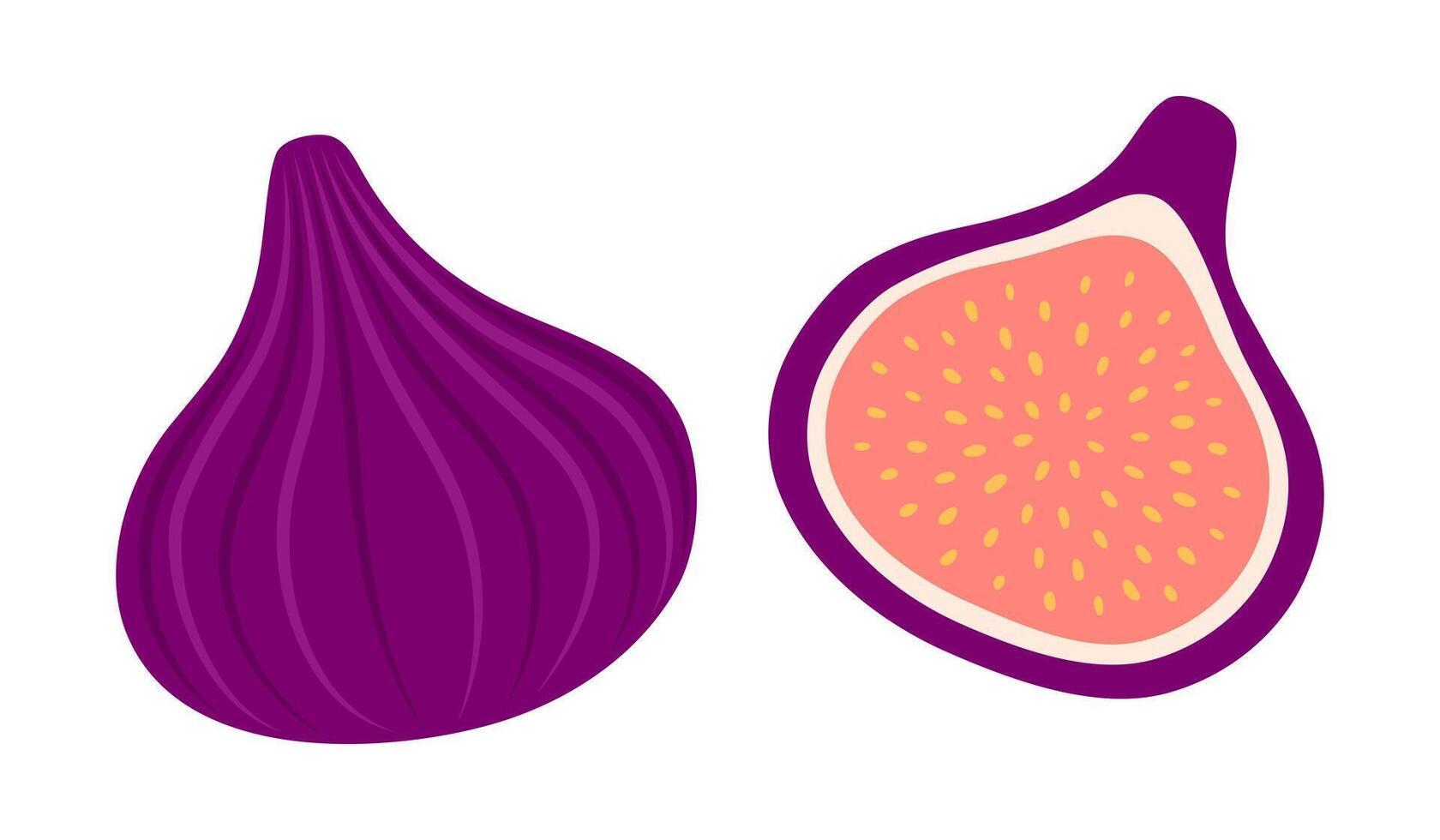 Fig set. Half and whole exotic fruit. Collection of organic vitamins and healthy nutrition. Flat illustration isolated on white background vector