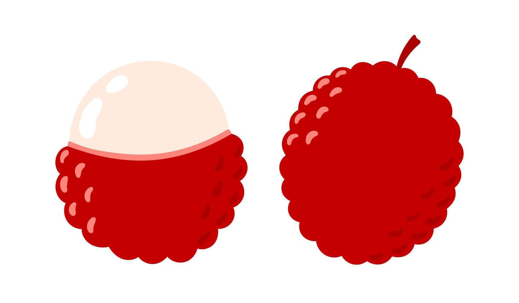 Lychee fruit set. Tropical fruits. Half and whole exotic fruit. Collection of organic vitamins and healthy nutrition. Flat illustration isolated on white background vector