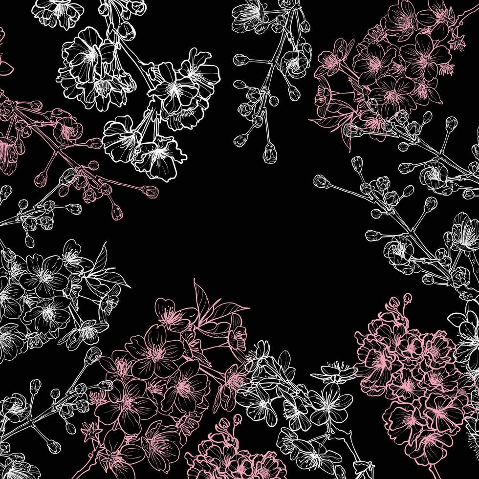 Cherry Blossoms line art, hand drawn illustration on black background. Pink and white outline template with place for text in the middle. This illustration is easy to edit and ready to use. vector