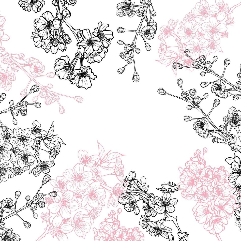 Cherry Blossoms line art, hand drawn illustration on white background template. Pink and black outline flowers with place for text in the middle. This illustration is easy to edit and ready to use. vector
