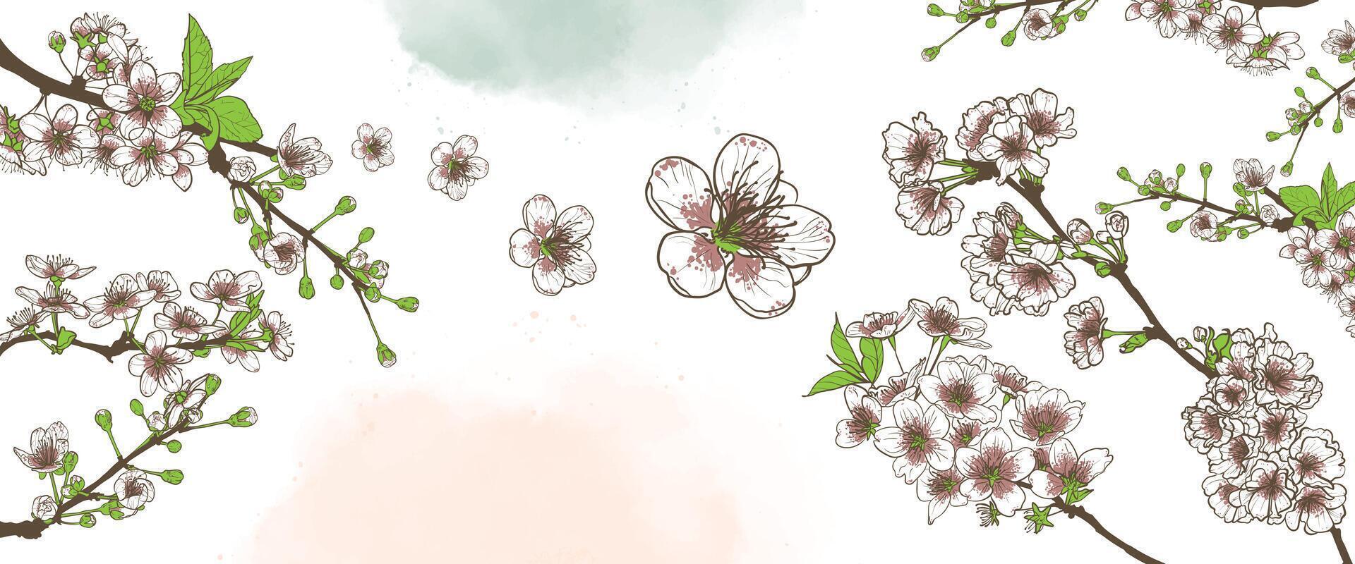Hand drawn flowers, cherry blossoms, colored and line art with pastel green and orange watercolor splatters on white background. Spring banner template. vector