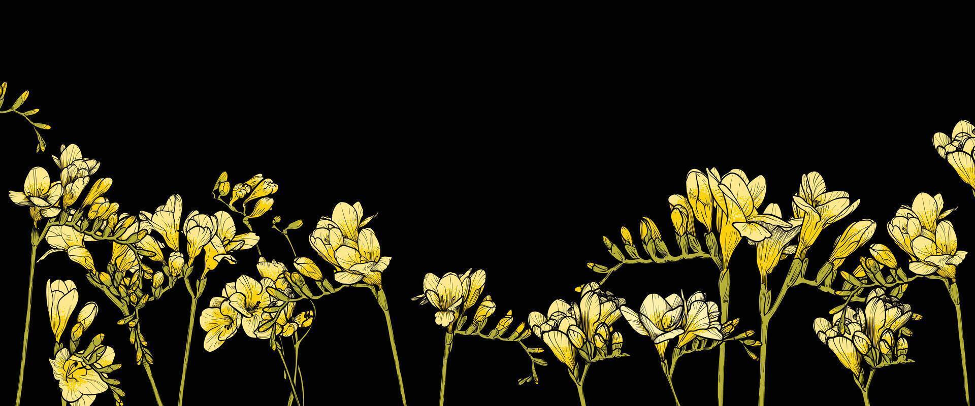 Hand drawn line art freesia on black background. Yellow freesia banner template for online and print projects. vector
