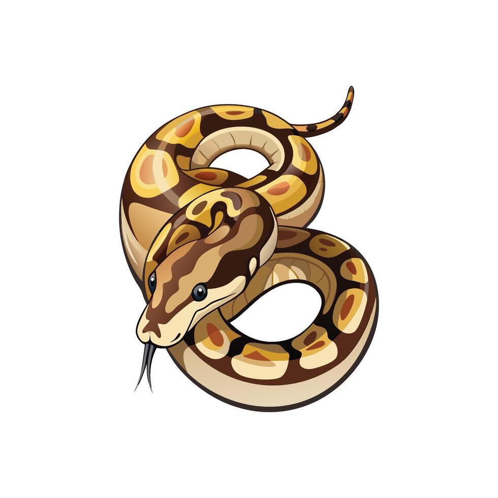 Colorful Ball Python Pattern Design On White Background vector