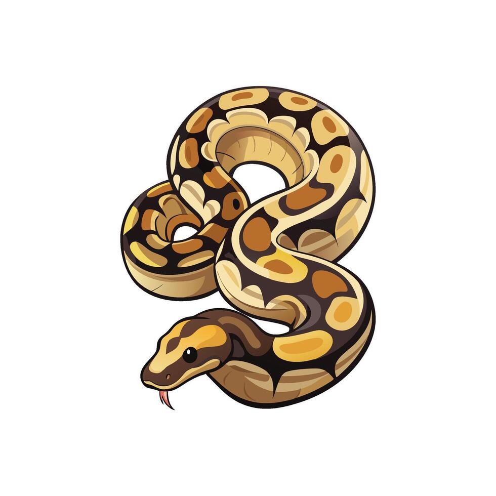 Coiled Ball Python Digital Design On White Background vector
