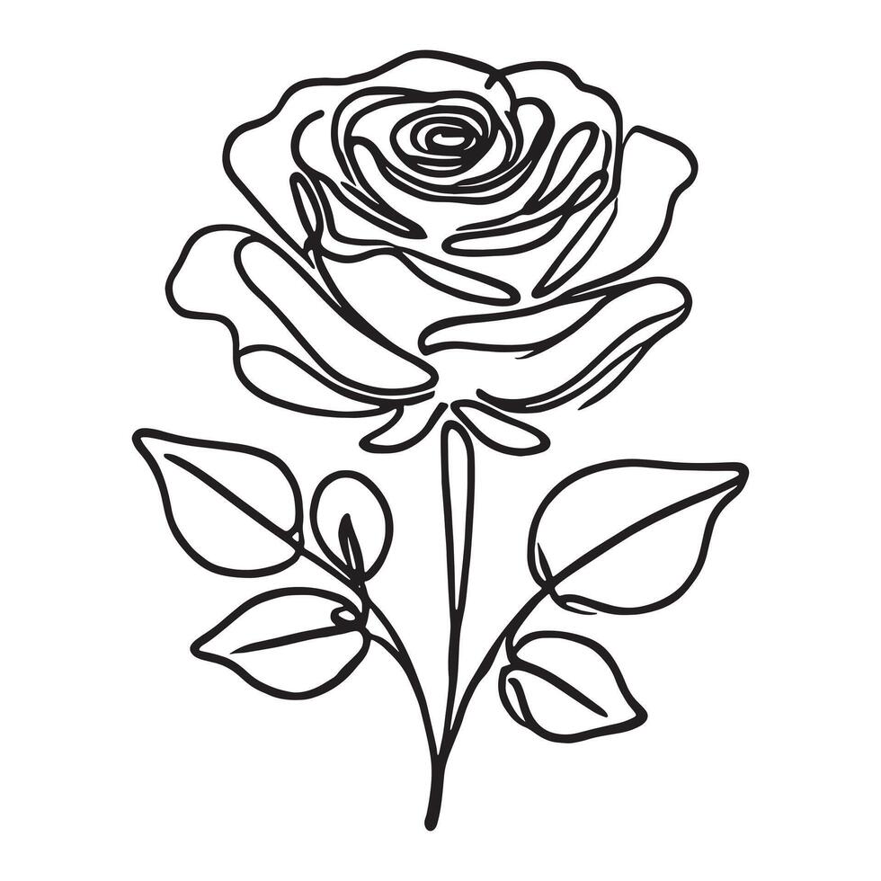Set of elegant line art rose illustrations on a white background. vector