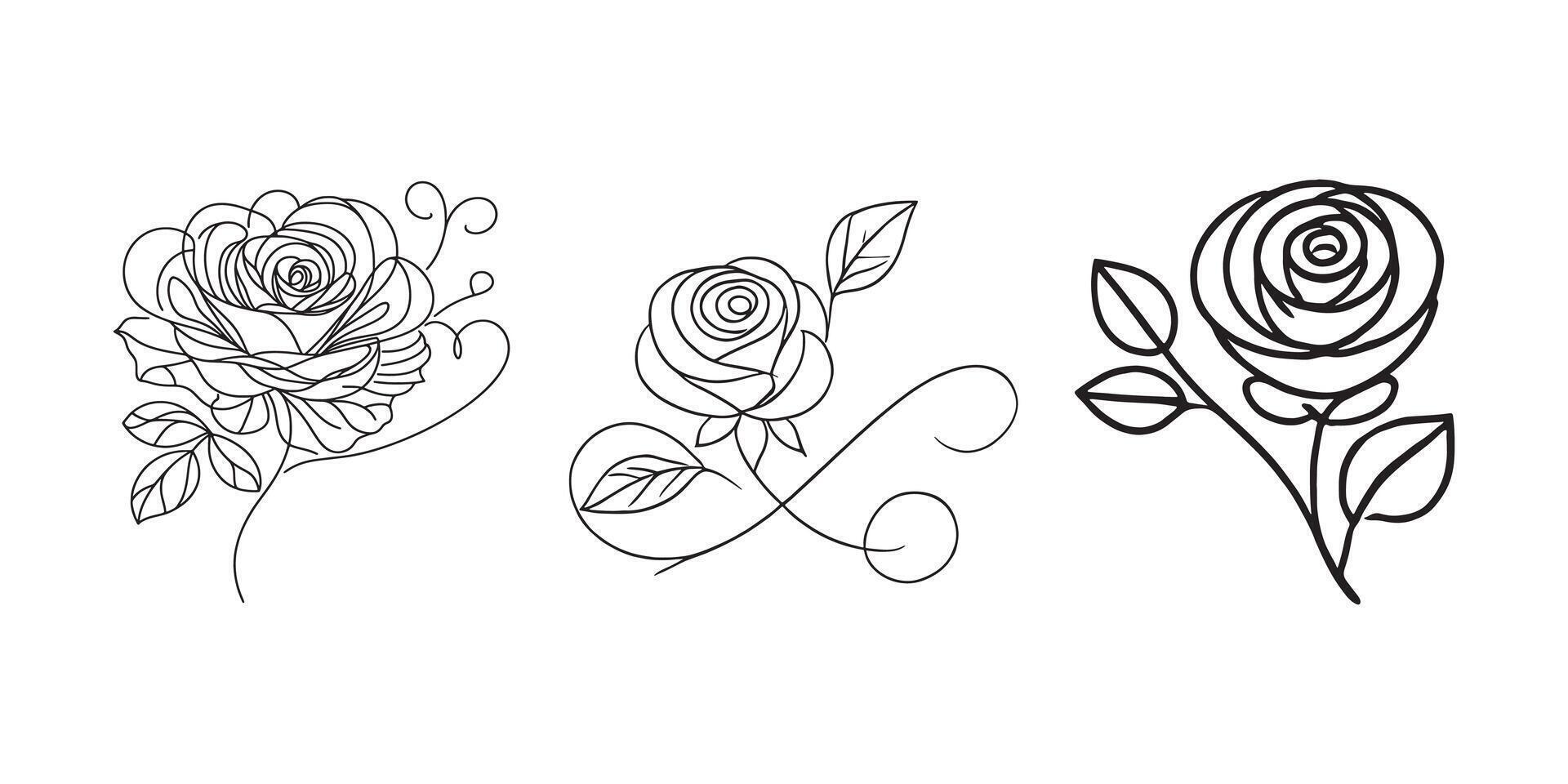 Collection of graceful line art rose illustrations against a white background. vector