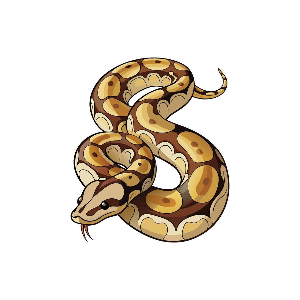 Elegant Ball Python Illustration Design On White Background vector
