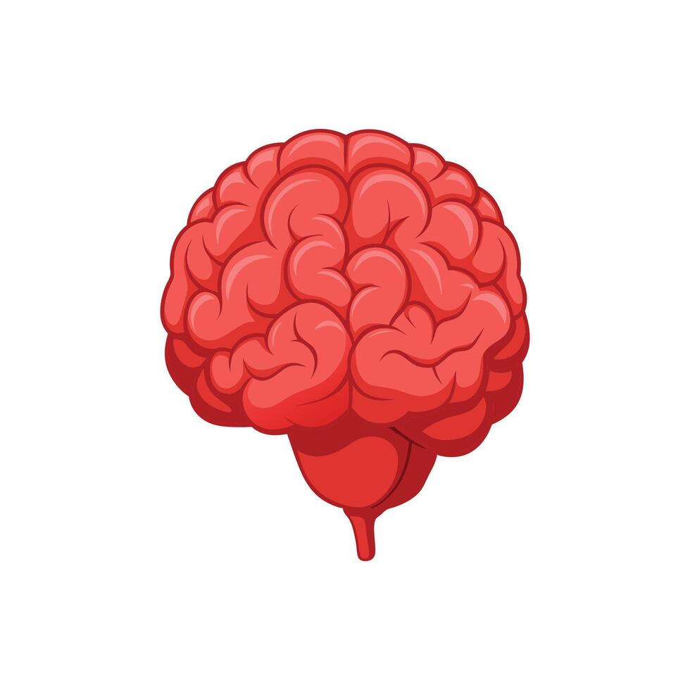 Abstract Brain Anatomy Illustration Design vector