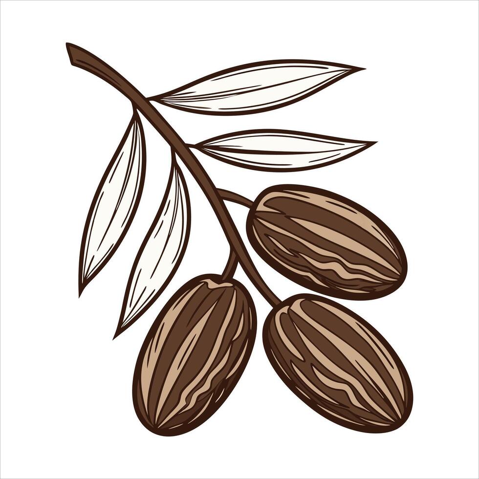 Date fruit art illustration vector