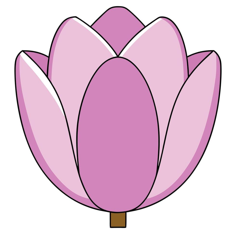 Pink Magnolia Blossom Flower Illustration, Simple Design, Botanical Art vector