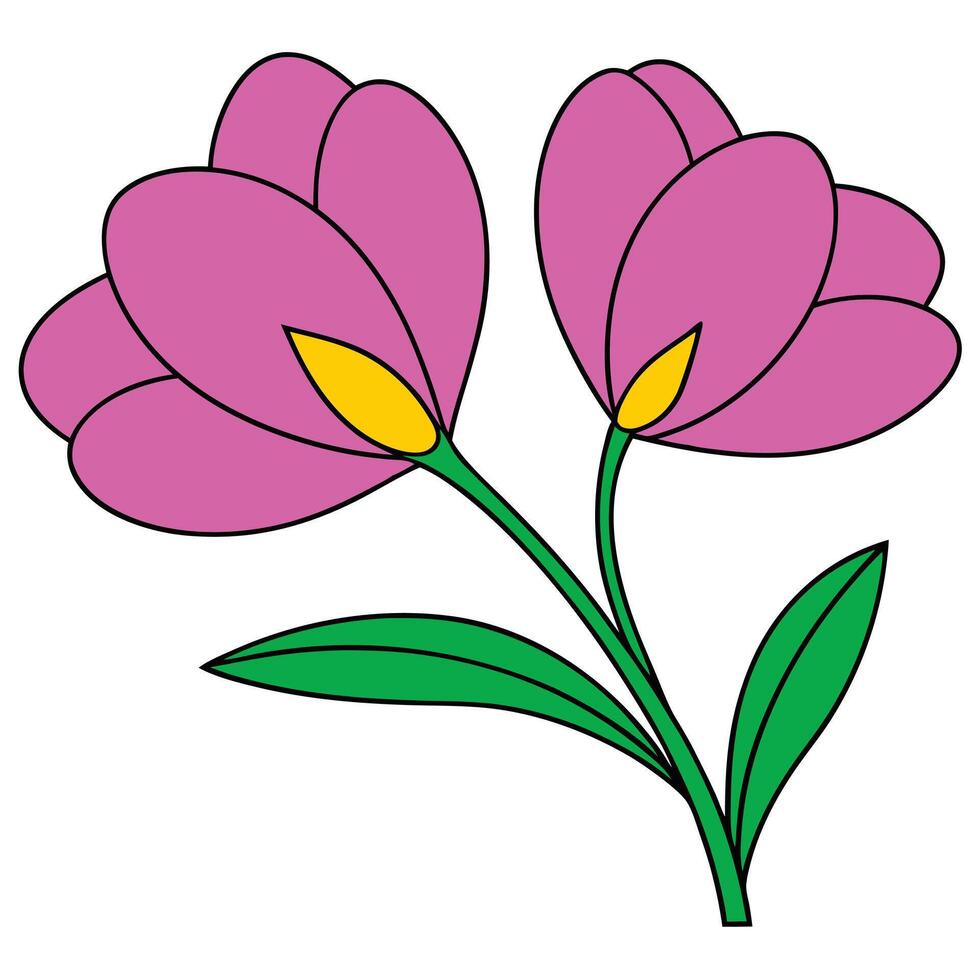 Simple Pink Crocus Flowers Spring Blossom Nature Illustration vector