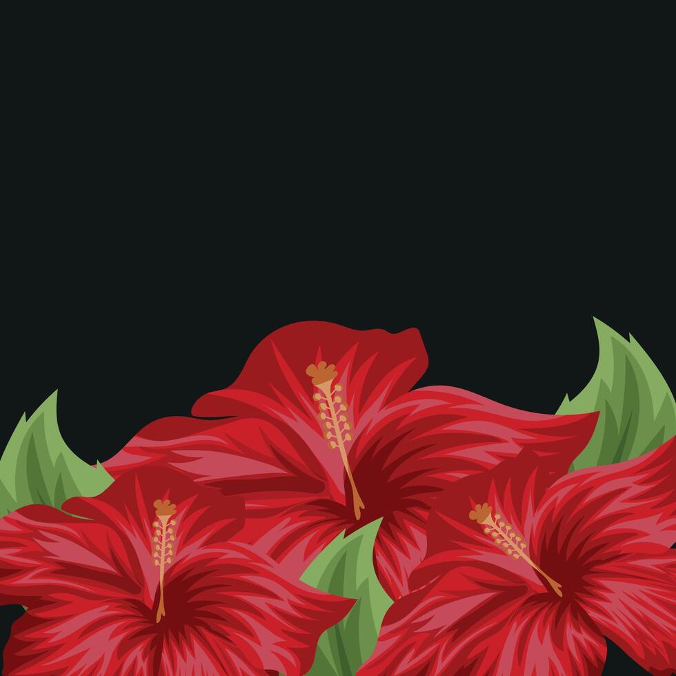 banner, frame, template with open bud of red mallow flower with green leaves for on black background, for decoration, packaging vector