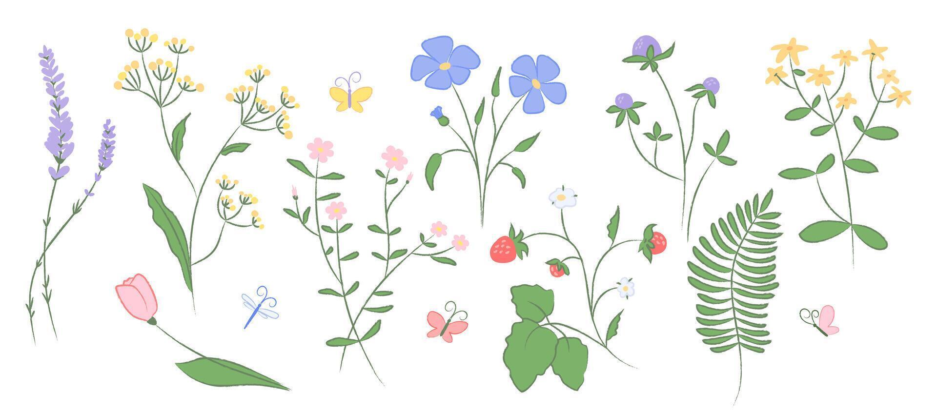 Collection of hand drawn wildflowers, butterflies. Delicate floral illustration with pencil texture in pastel colors. Decoration for spring, summer designs invitations, patterns, prints, greeting card vector