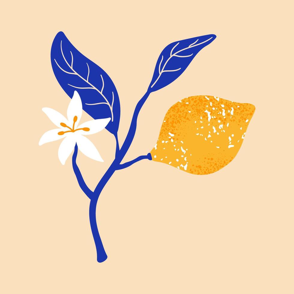 Branch flowering lemon with fruits. Summer exotic and tropic elements. print for card, t shirt, decor vector