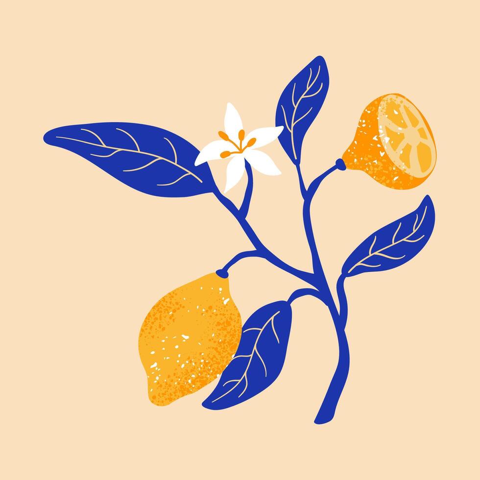 Summer card with branch flowering lemons and leaves. Greek citrus Illustration. design for card, t shirt, decor vector