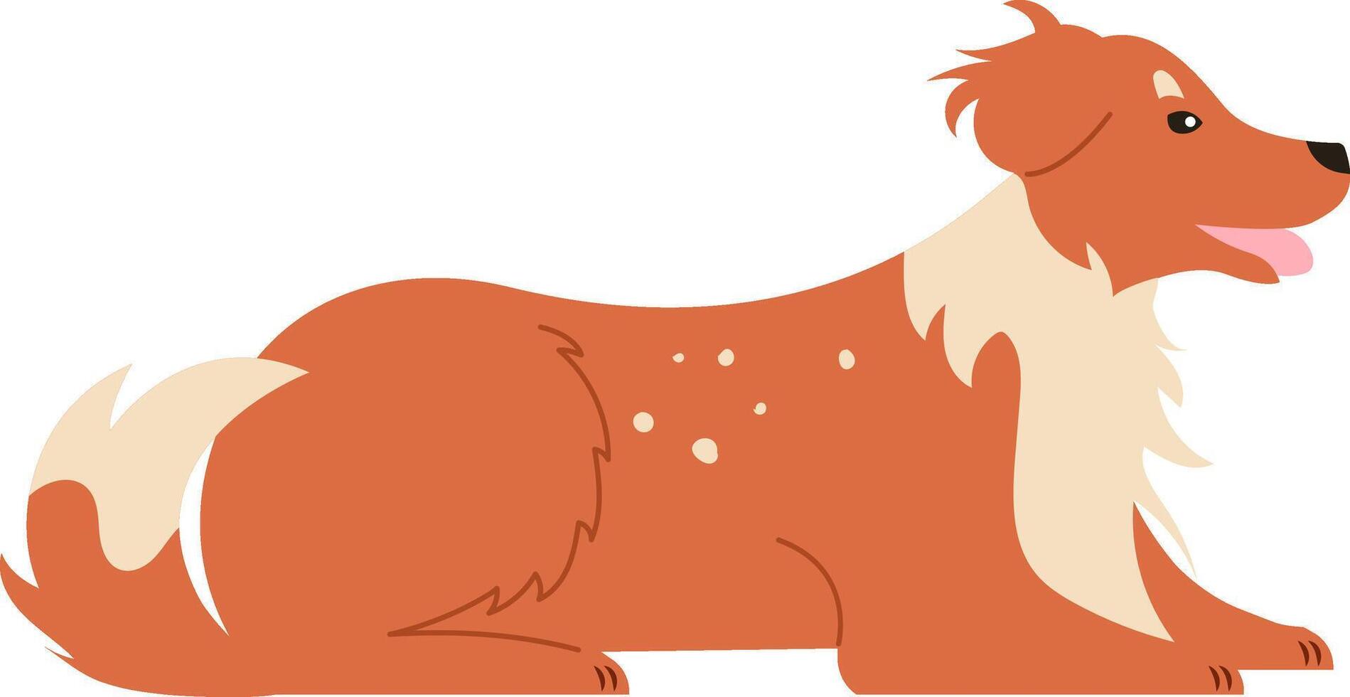 Illustration of a friendly collie dog lying down with a happy expression, showcasing its fluffy fur and distinctive markings. Perfect for pet related designs and animal illustrations vector