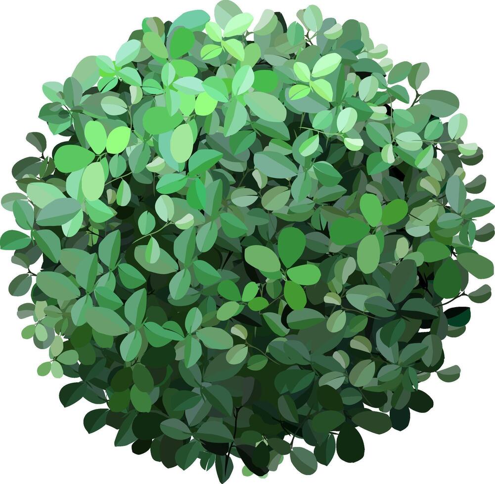 Lush green leaves intricately arranged in a circular shape, showcasing vibrant shades of green. The foliage creates a harmonious and natural aesthetic perfect for design and nature themes vector