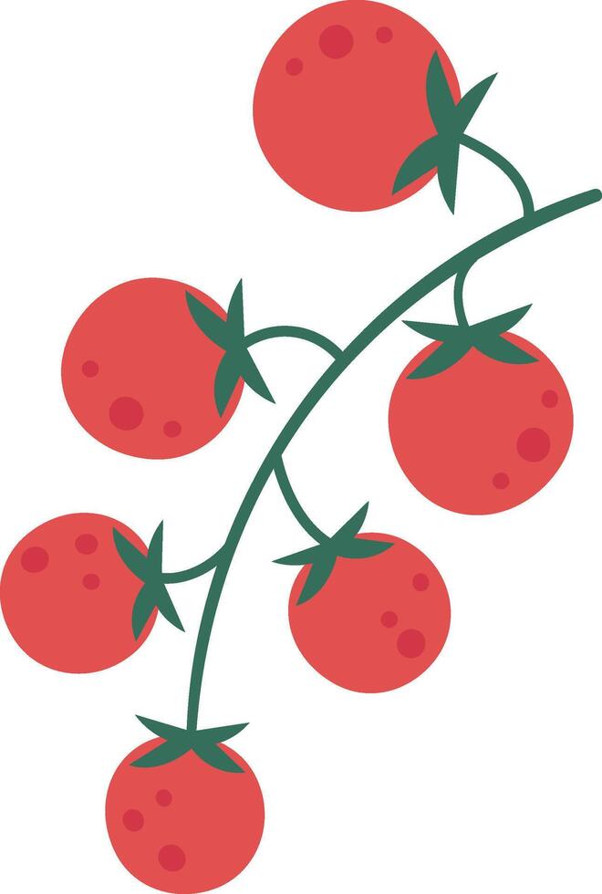 Illustration showcasing a cluster of ripe red tomatoes hanging from a lush green vine. The simple and clean design emphasizes freshness and organic growth, ideal for agricultural themes vector