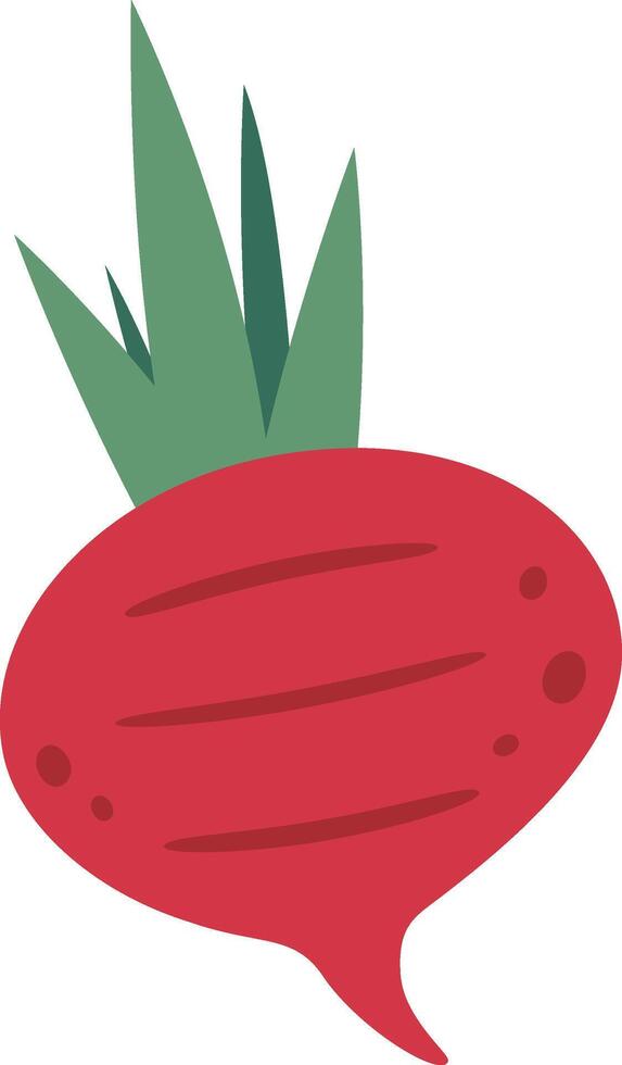 Vibrant illustration of a beetroot with lush green leaves, showcasing its round shape and deep red color. Ideal for agricultural, culinary, and health related designs vector