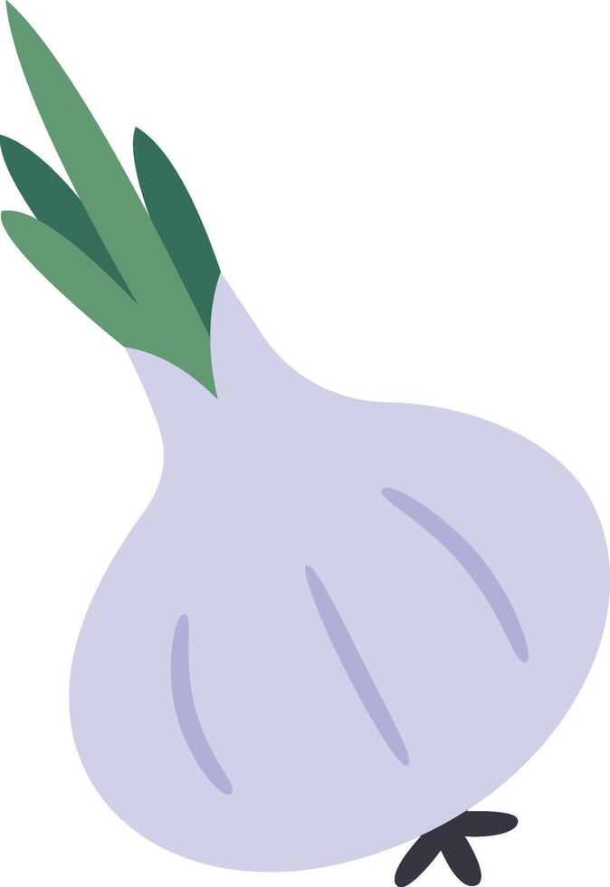 Stylized illustration of a garlic bulb with green shoots, showcasing a simple and modern design. The garlic is depicted in a flat, minimalistic style, emphasizing its organic form vector