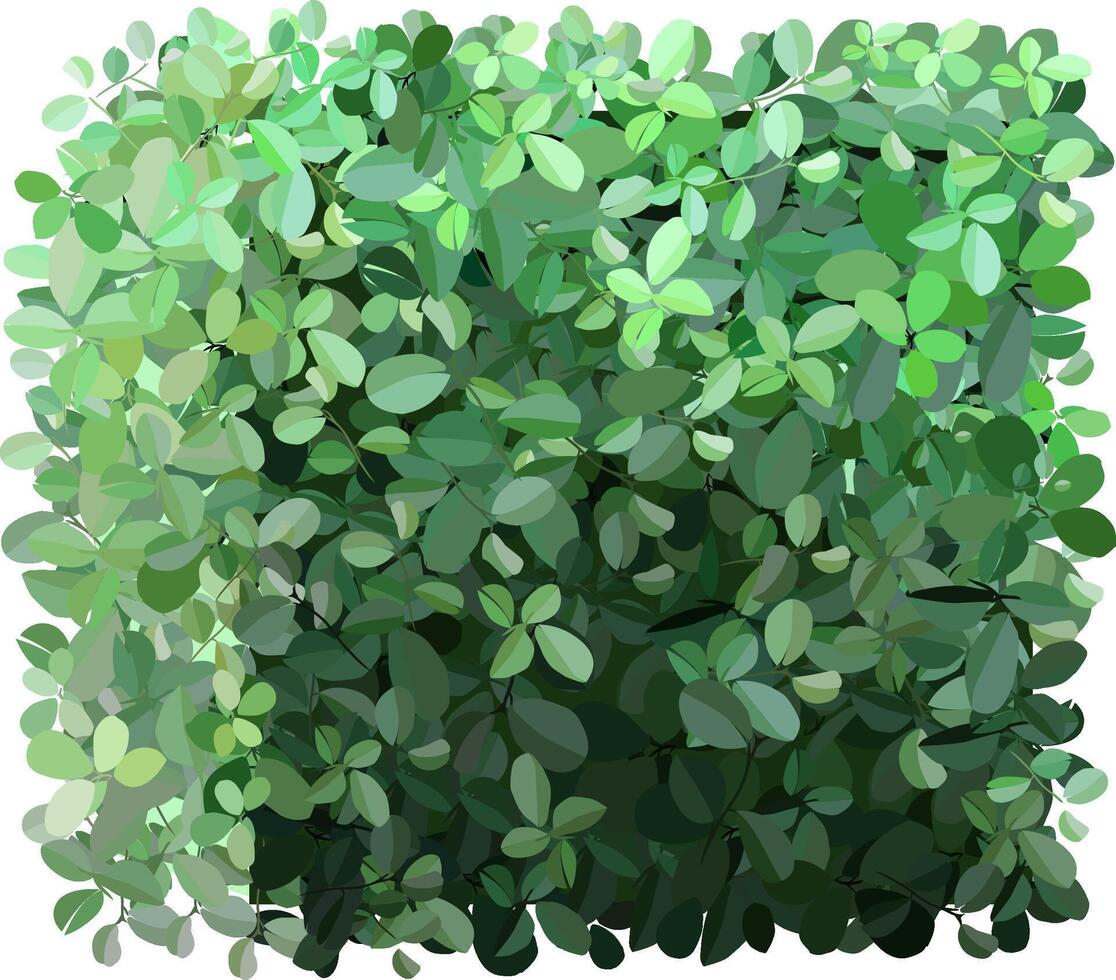 Intertwining lush green leaves create a rich, textured backdrop, offering an ideal setting for nature themed designs and projects, enhancing any visual composition with vibrant foliage vector