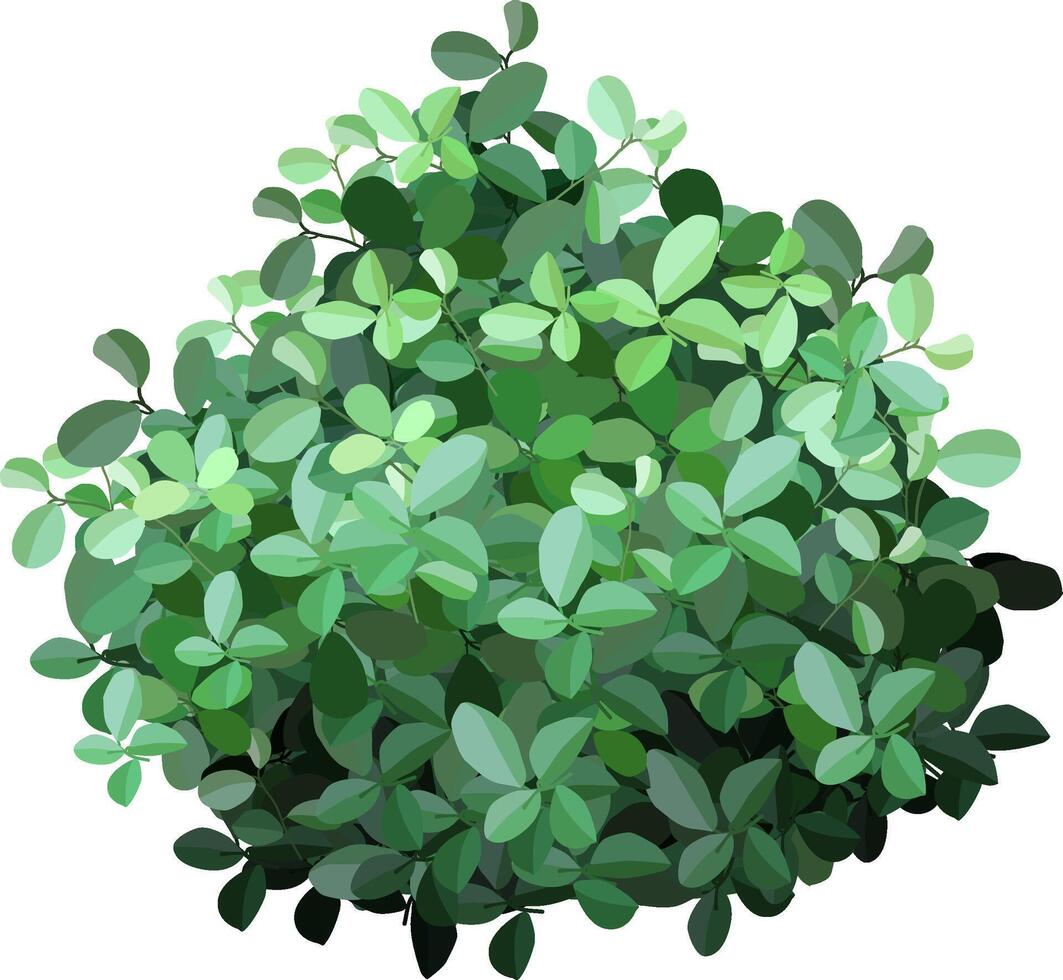 Dense cluster of vibrant green leaves forming a lush foliage pattern. The varied shades of green create a natural, fresh aesthetic, ideal for nature themed designs or backgrounds vector