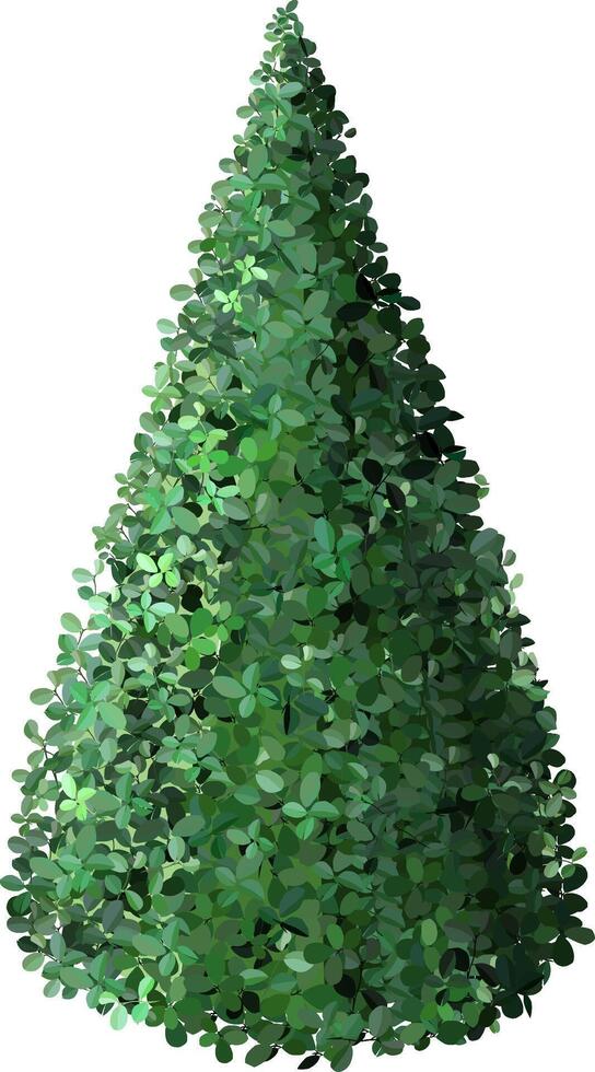Dense green foliage forms a tall, conical shape, resembling a stylized tree or shrub. The rich, layered leaves create a vibrant and natural appearance, ideal for nature themed designs vector