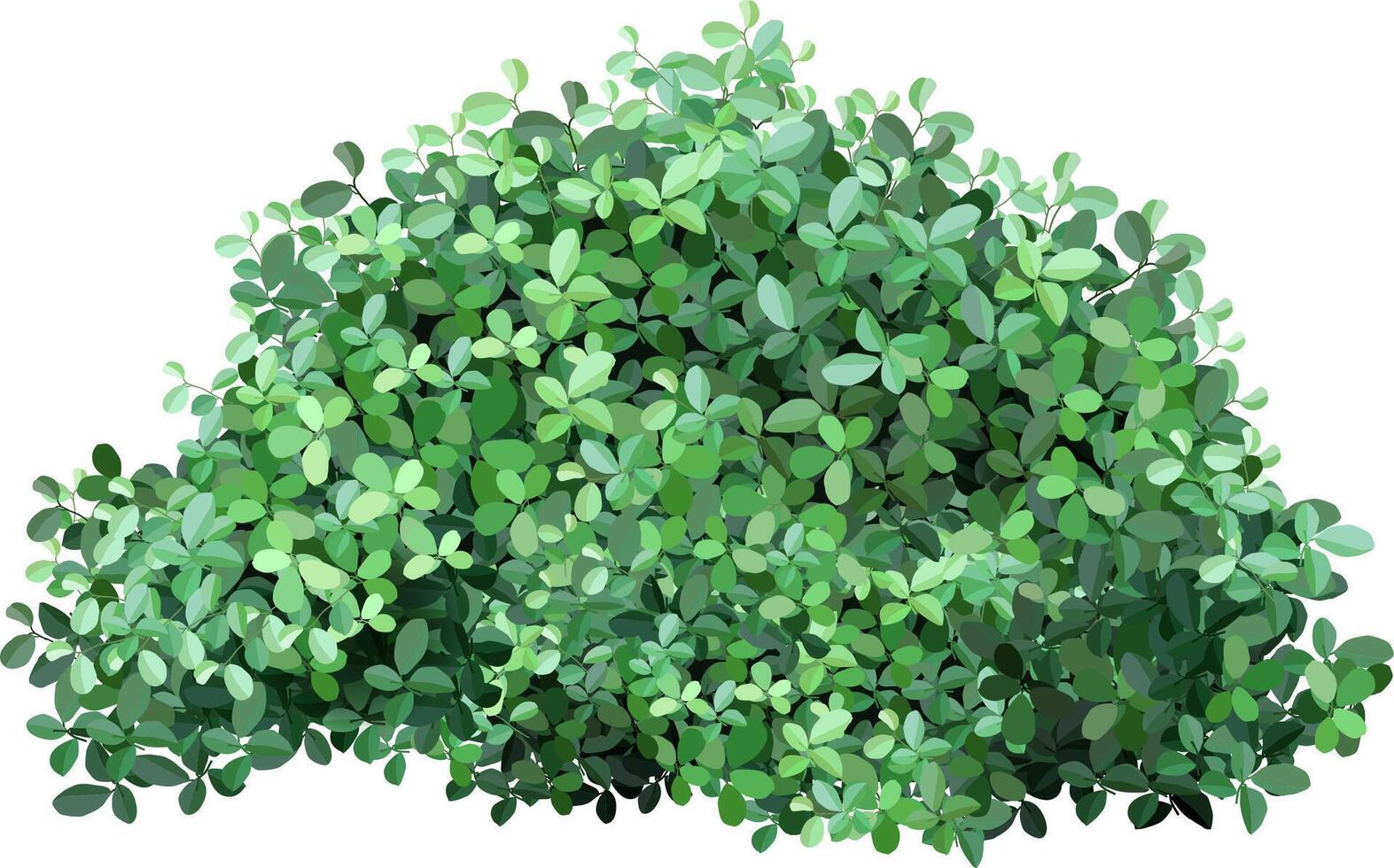 Green bush with dense foliage provides privacy and a natural backdrop, isolated on a white background, perfect for landscape design or nature themed projects vector