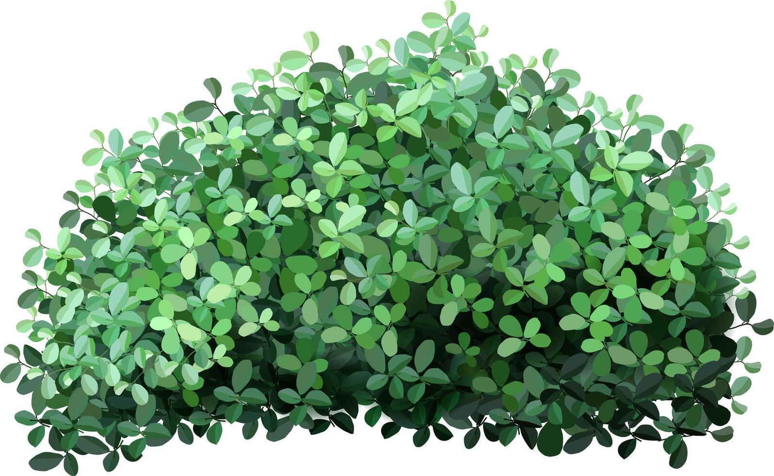 Dense cluster of vibrant green leaves forming a lush hedge, showcasing nature's abundance and variety. Ideal for backgrounds or themes related to gardening and natural landscapes vector