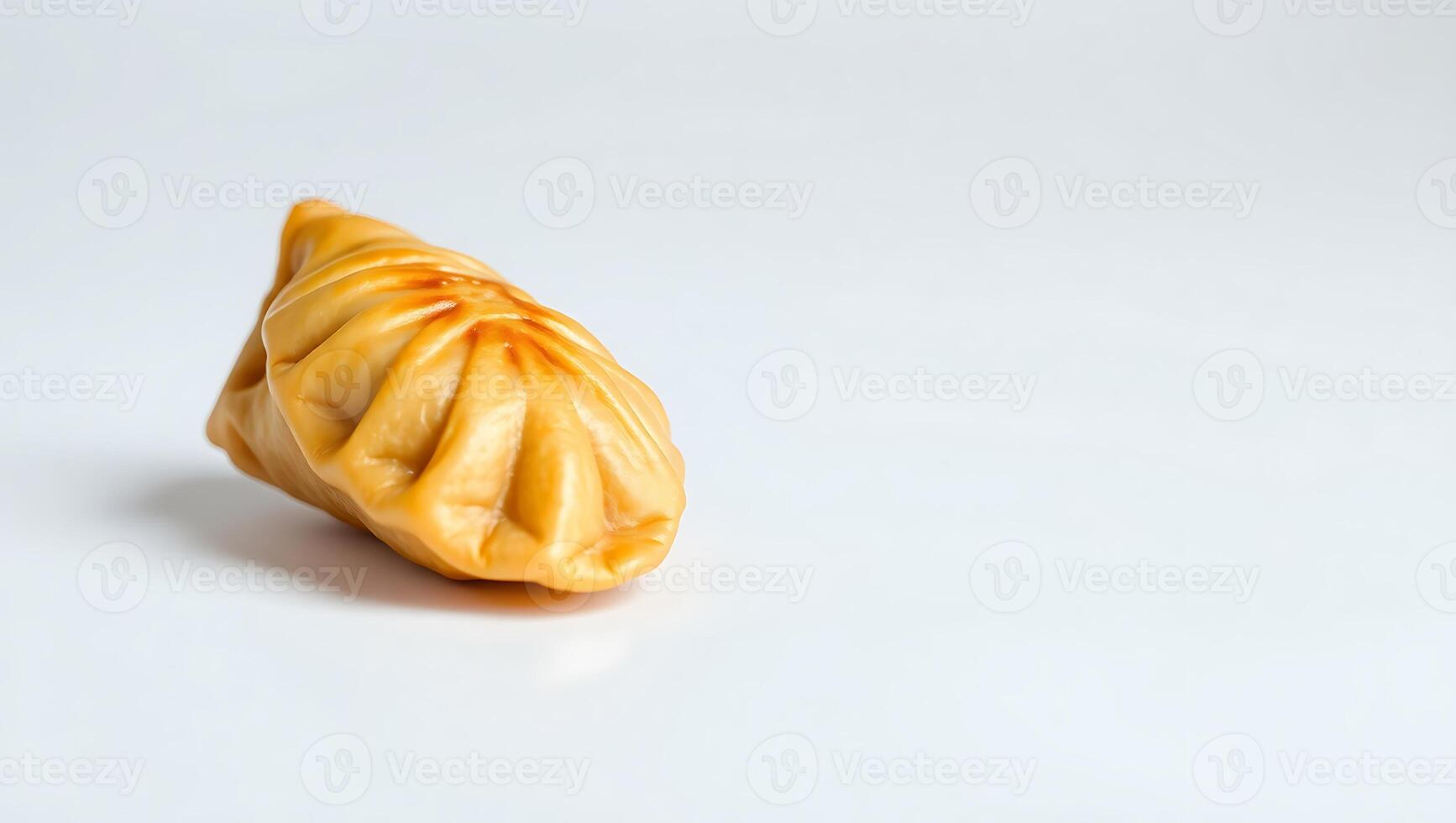 Delicious dumpling showcasing traditional folding technique on plain background photo