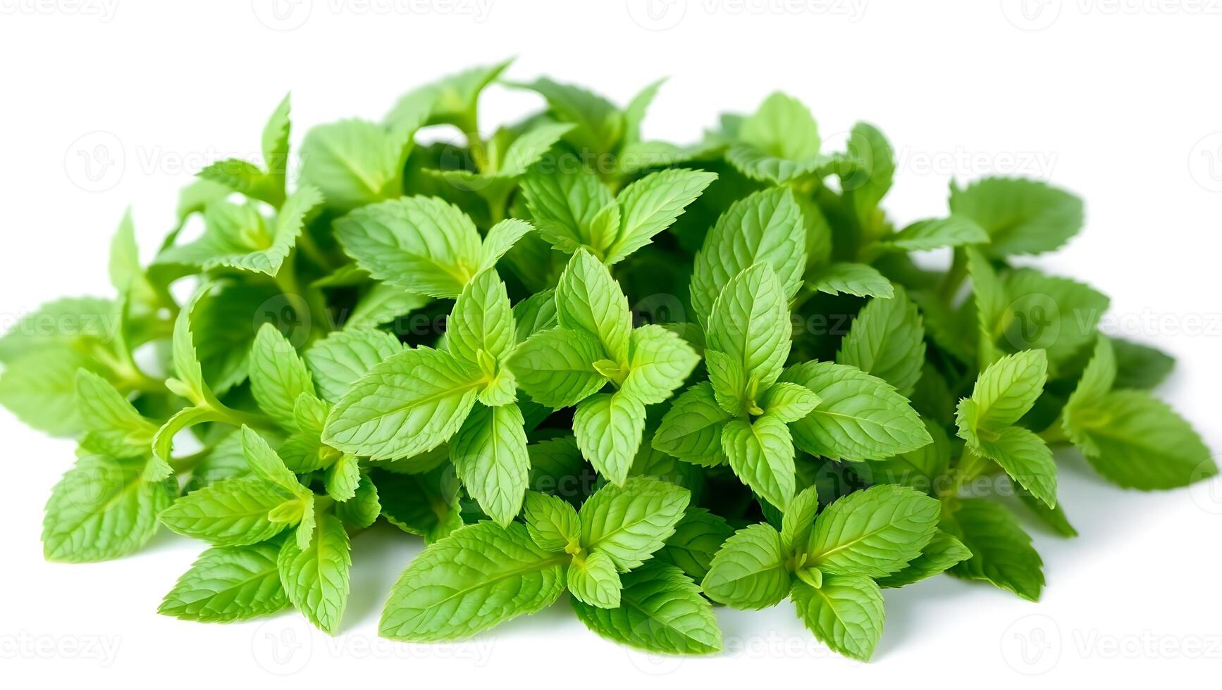 Fresh mint leaves arranged in a natural cluster ready for culinary use photo