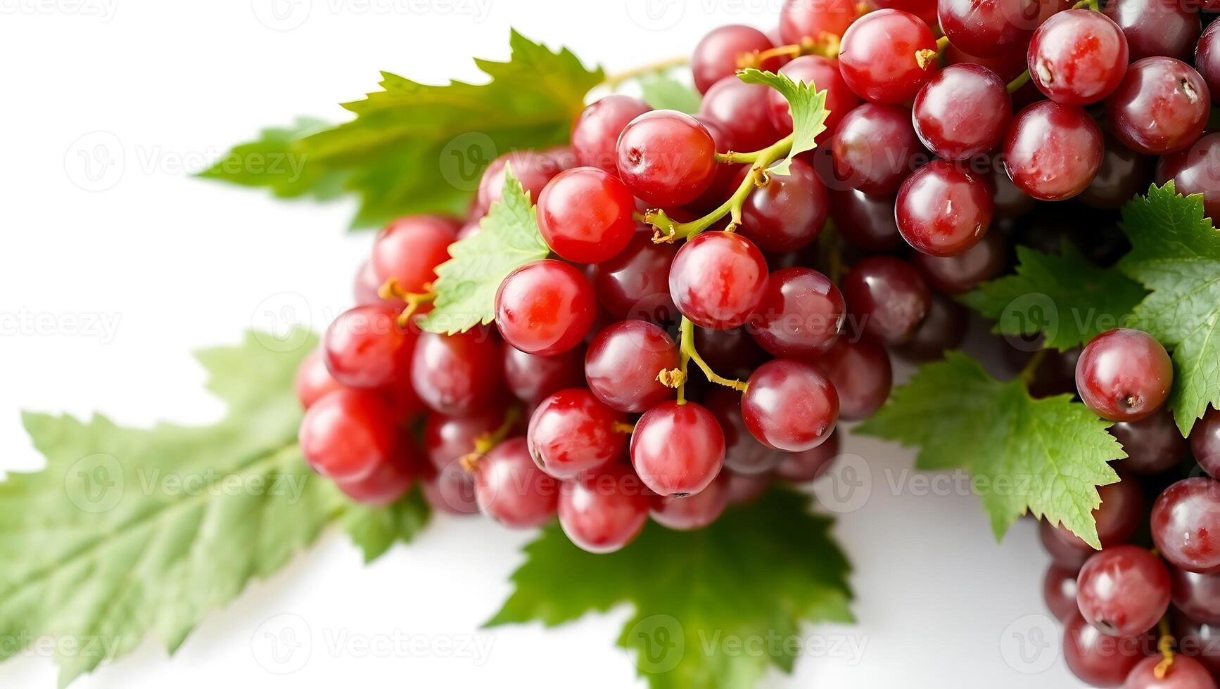 Fresh red grapes with green leaves showcasing natural beauty and flavor photo