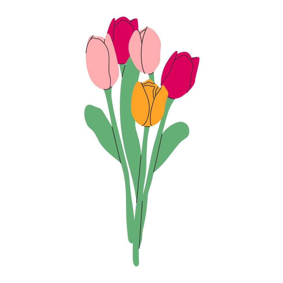 Tulips flower bouquet isolated.Flower collection with pink, yellow blooms on transparent background.Simple flat design. illustration Eps10 vector