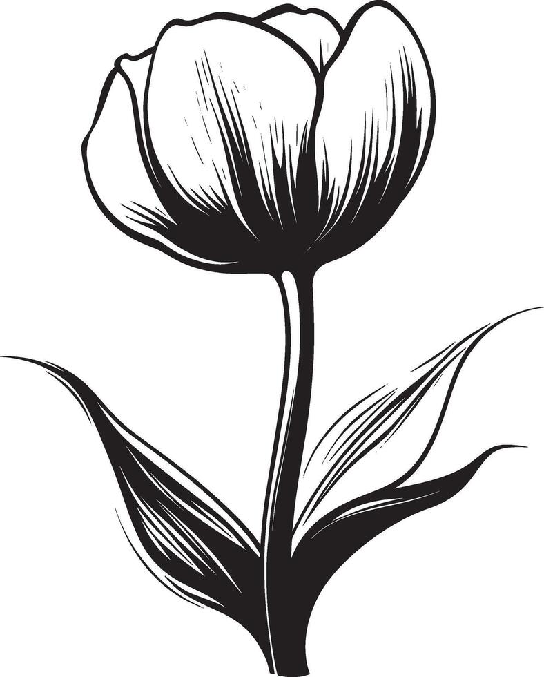 Minimalist black outline of a tulip flower in format vector