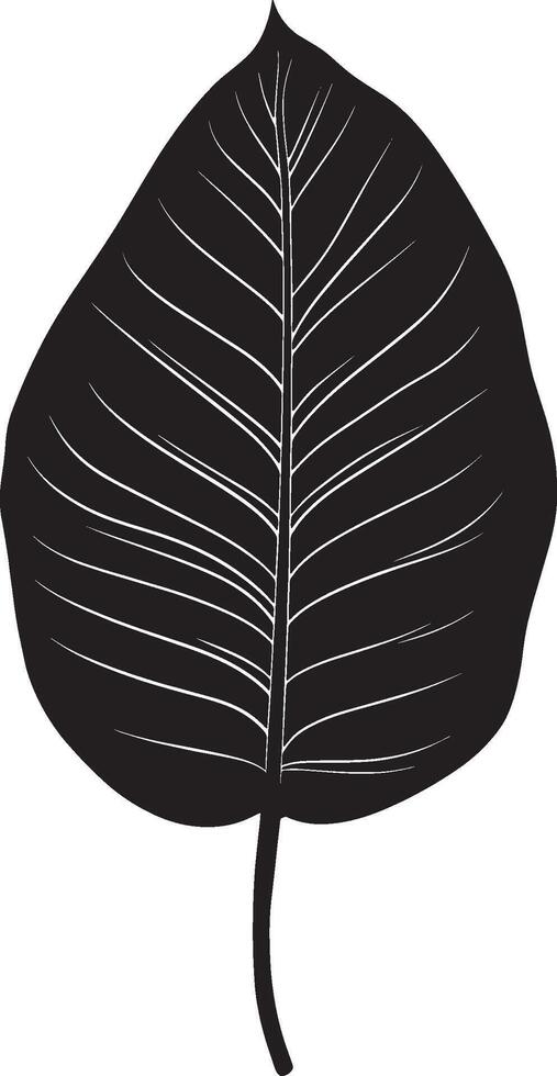 Black illustration of a simple calathea leaf silhouette vector