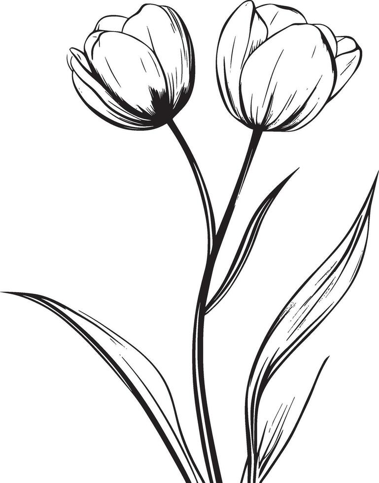 Black illustration of a tulip outline vector