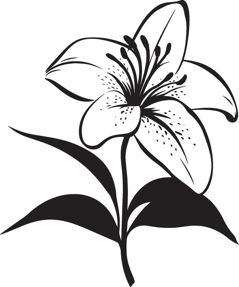 Lily flower simple silhouette black illustration vector