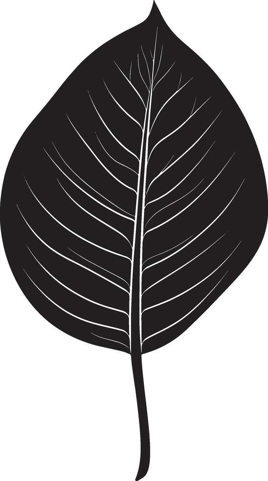 Minimalist black silhouette of a calathea leaf in format vector