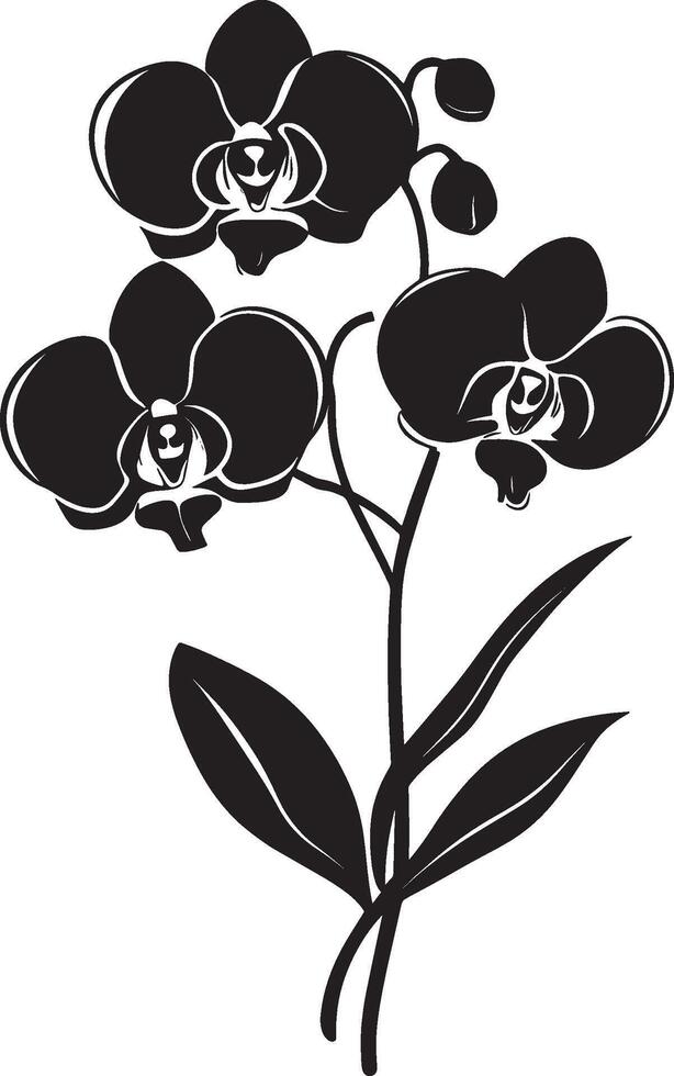 Black illustration of a simple orchid flower silhouette vector