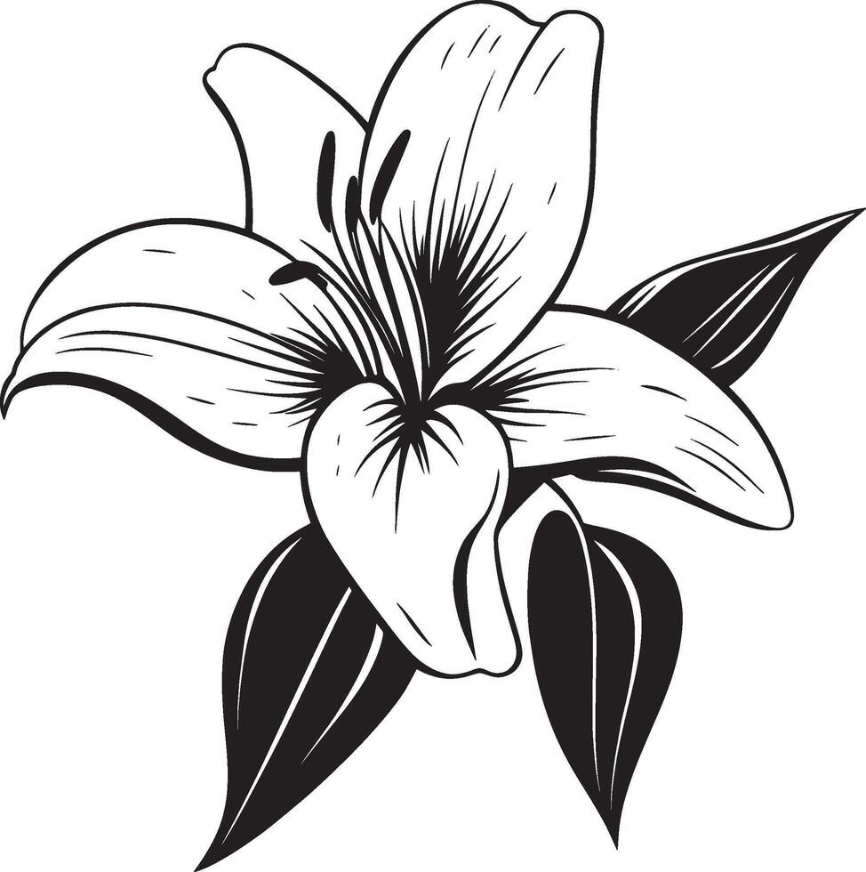 Simple black outline of a lily flower vector