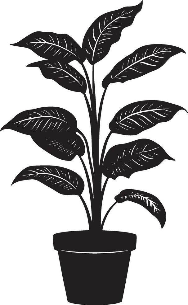 Simple black silhouette of a Dieffenbachia leaf as a illustration vector